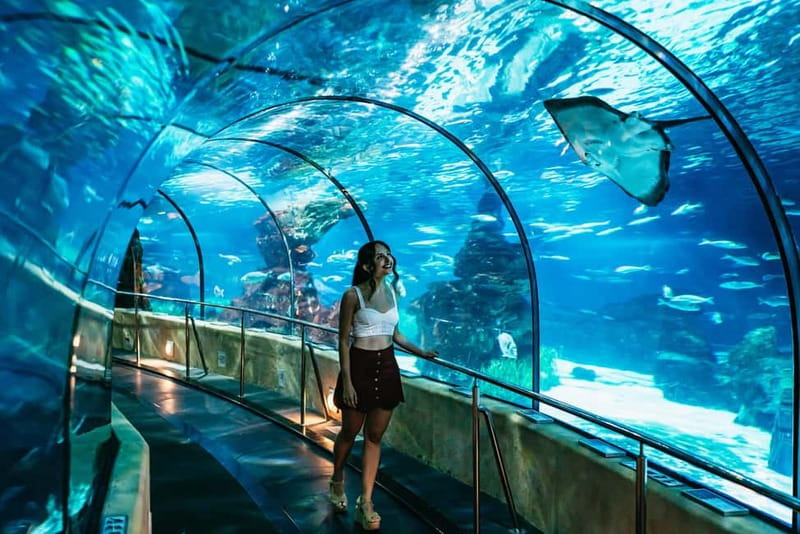 Barcelona Aquarium: Entry Ticket - Mediterranean Tanks First: A Useful Introduction to Local Sea Life