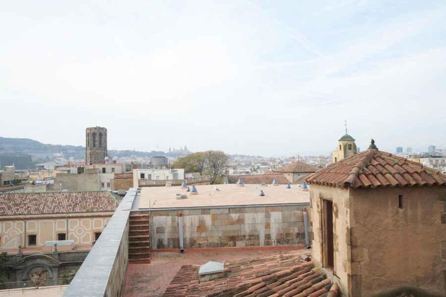Barcelona Cathedral: Ticket, Guided Tour and VR Experience - Guides make or break this visit
