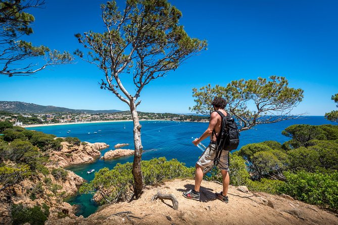 Barcelona: Costa Brava Easy Hike, Snorkel, Cliff-Jump & Meal - Why the Costa Brava makes a good day trip