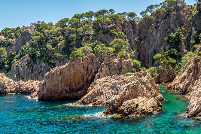Barcelona: Costa Brava Easy Hike, Snorkel, Cliff-Jump & Meal - Cliff jumps with different comfort levels