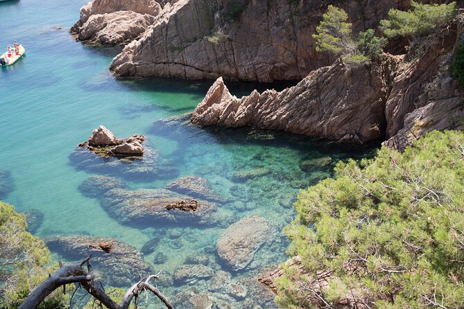 Barcelona: Costa Brava Easy Hike, Snorkel, Cliff-Jump & Meal - Starting at a sandy cove