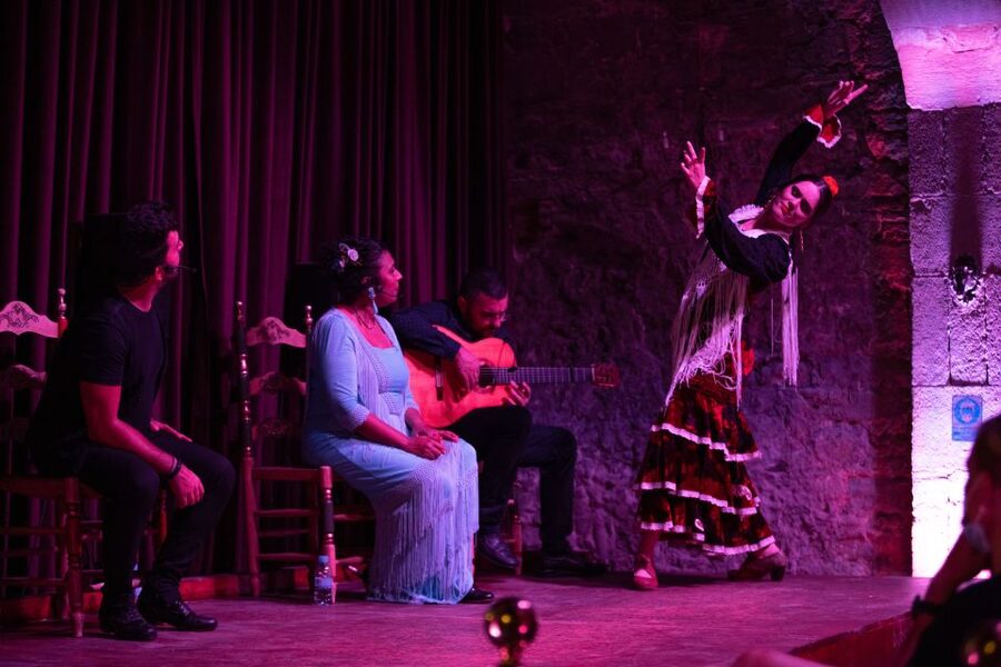Barcelona: Flamenco Show at Palau Dalmases - Entering Palau Dalmases near the Picasso Museum
