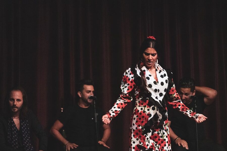 Barcelona: Flamenco Show at Palau Dalmases - Choosing between VIP, Zone A, and Zone B