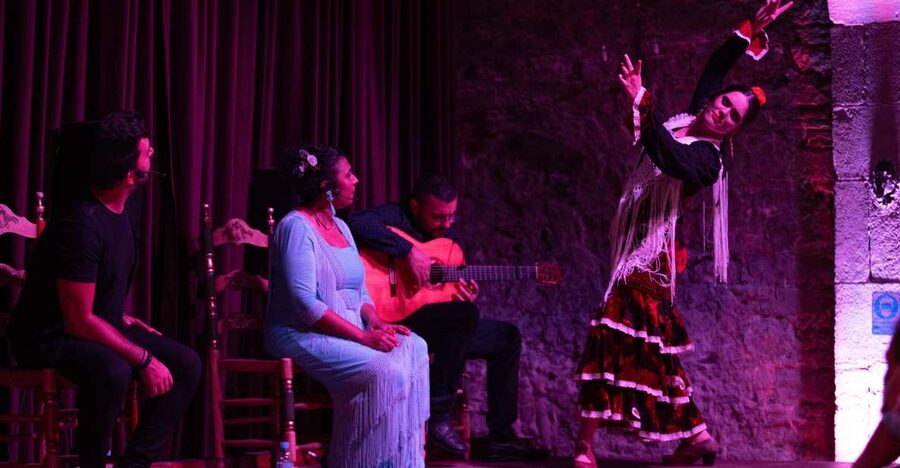 Barcelona: Flamenco Show at Palau Dalmases - What the 50-minute performance includes