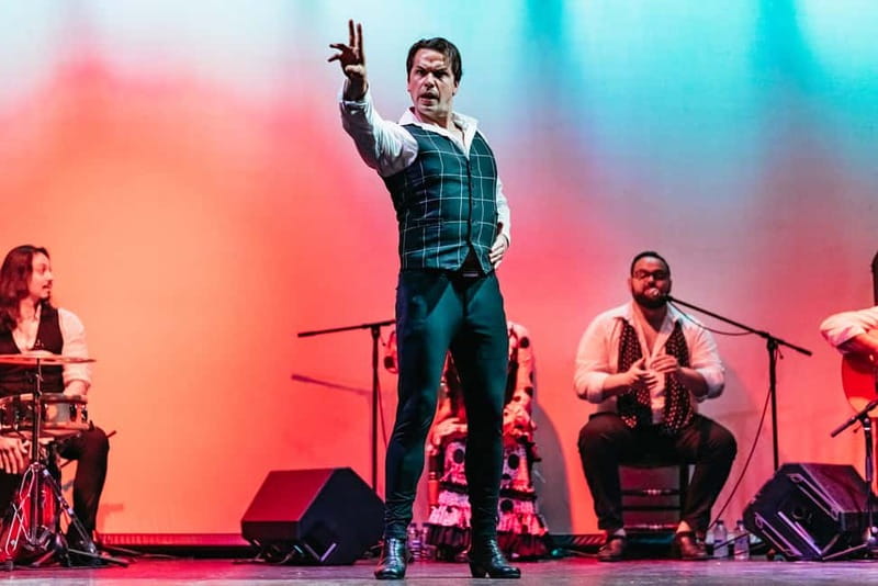 Barcelona: Flamenco Show at the Theater - What happens during the performance