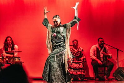 Flamenco Show at the Theater