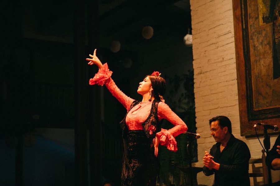 Barcelona: Flamenco Show with Dinner at Tablao de Carmen - The one-hour show and its close-up energy