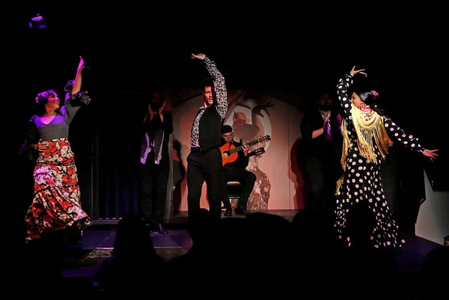 Barcelona: Flamenco Show with Drink at La Rambla - Key points to know before booking