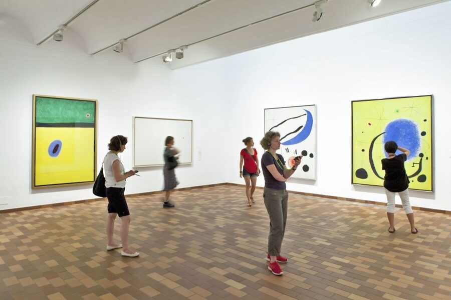 Barcelona: Fundació Joan Miró Skip-the-Line Entry Ticket - Temporary shows and Espai 13