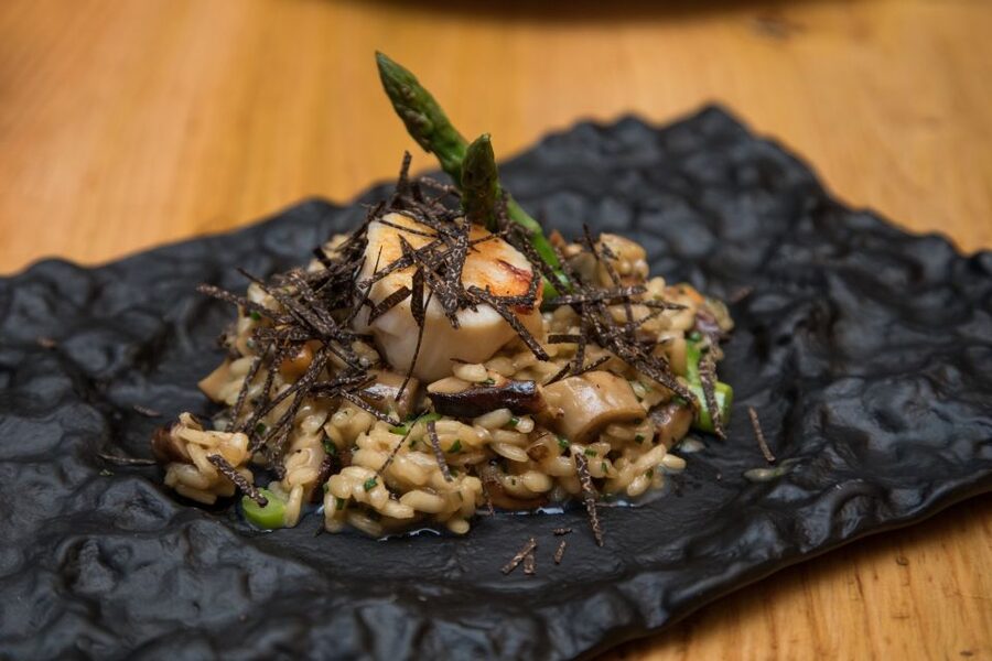 Barcelona Gourmet Food & Wine Tour with Local Expert - How much food and drink do you actually get?