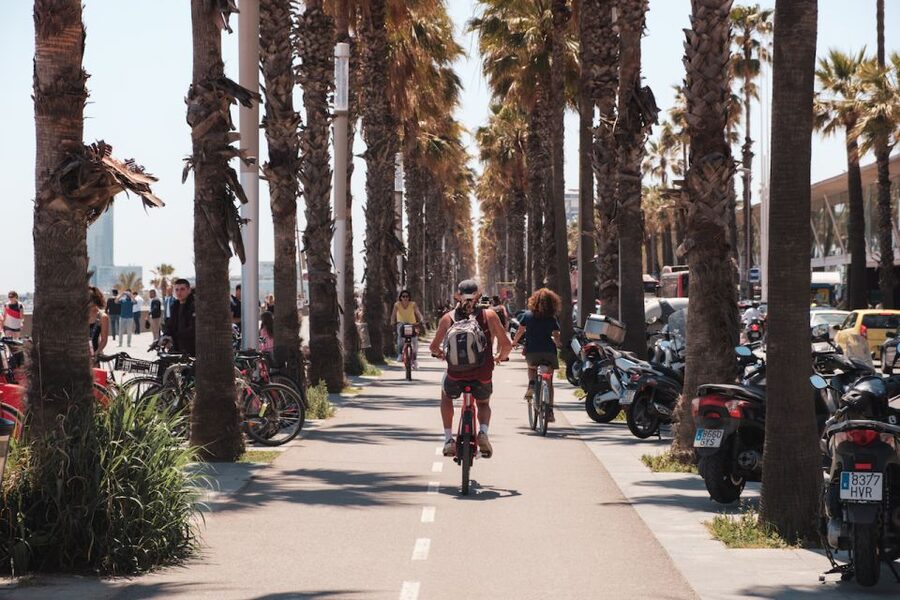 Barcelona: Guided Bike or E-Bike City Tour - Barcelona Cathedral and the Palace of Catalan Music