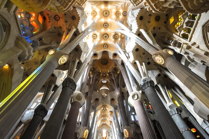 Barcelona Highlights & Sagrada Familia Tour: Priority Access - A six-hour introduction to Barcelona’s big ideas