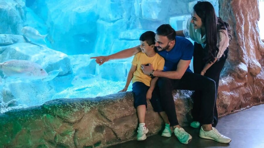 Barcelona: Hop-On Hop-Off Bus & Aquarium Tour - Key points to know before you go