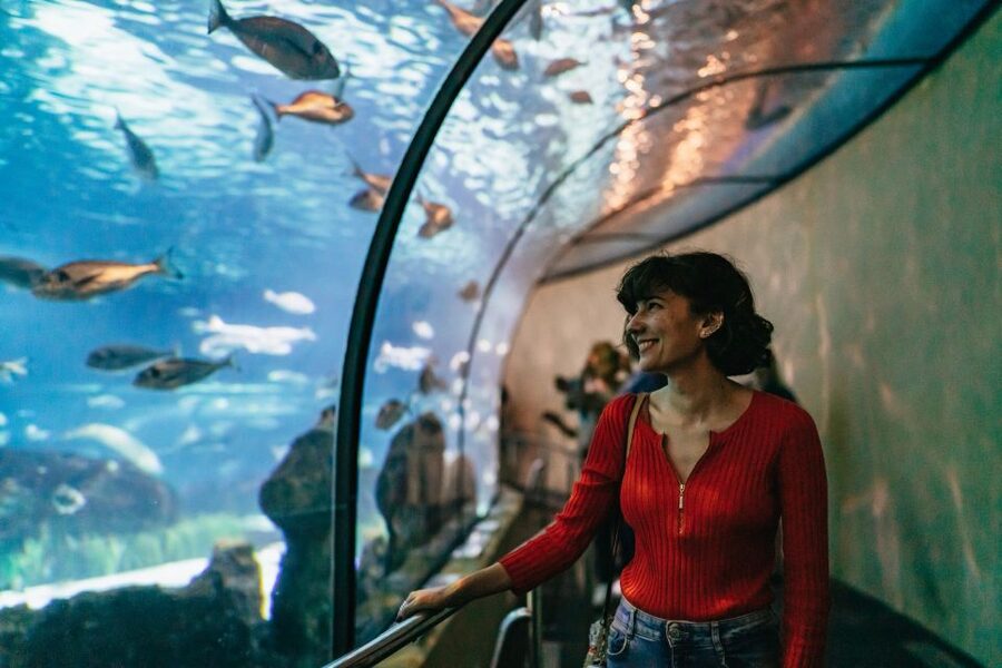 Barcelona: Hop-On Hop-Off Bus & Aquarium Tour - The green East route, from Barceloneta to Park Güell