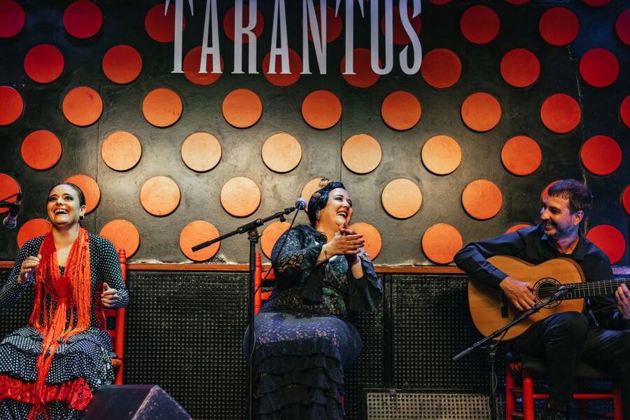 Barcelona: Los Tarantos Flamenco Show - What the show does especially well