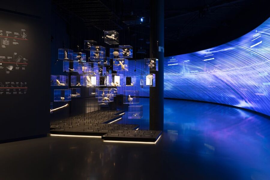 Barcelona: Mirador torre Glòries Skip-the-Line Ticket - The ground-floor exhibition is more than a waiting room
