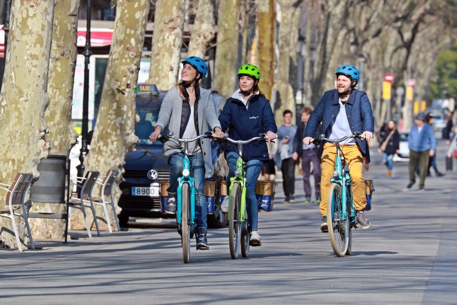 Barcelona: Montjuic Hill E-Bike Tour - Pedró Square, El Raval, and the Gothic district
