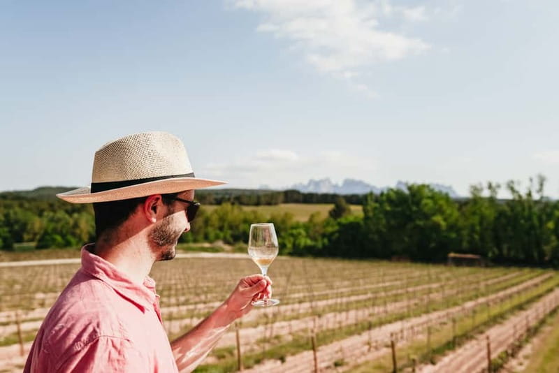 Barcelona: Montserrat and Winery Tour with Tapas or Lunch - Making The Most Of 1.5 Hours Of Free Time