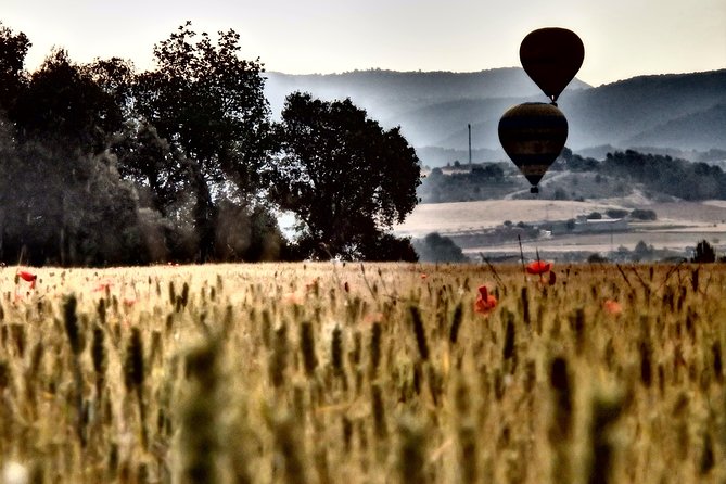 Barcelona: Montserrat Hot Air Balloon Ride with Champagne Toast - Price, Timing, and Overall Value