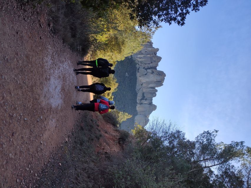 Barcelona: Montserrat Monastery & Hiking Off the Beaten Path - The descent through forest and the final free time