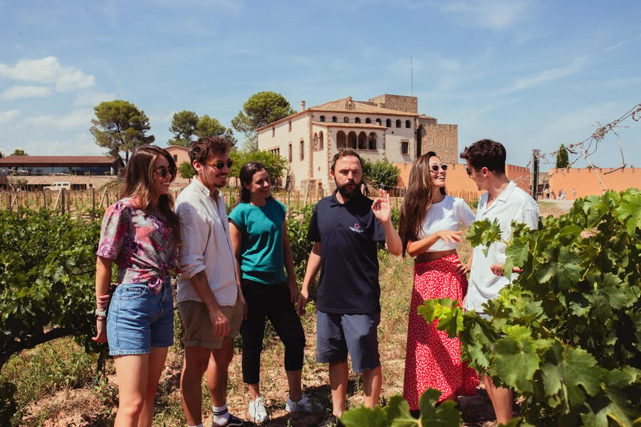 Barcelona: Montserrat with Winery, Lunch, and Train Options - Free time: what you can actually do
