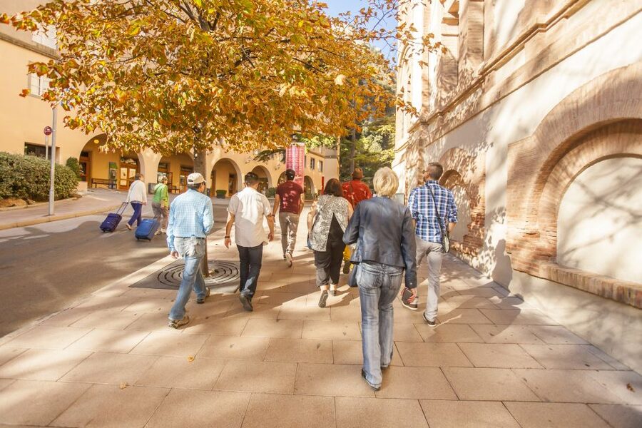 Barcelona: Montserrat with Winery Visit and Farmhouse Lunch - Basilica, Museum, and the Black Madonna