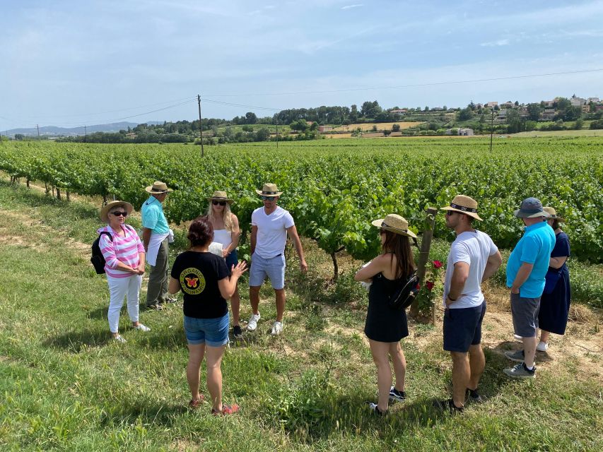 Barcelona: Montserrat with Winery Visit and Farmhouse Lunch - Inside Pares Balta’s Organic Wine Cellars