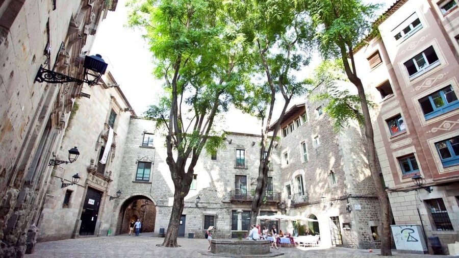 Barcelona: Old Town and Gothic Quarter Walking Tour - Barcelona Cathedral and Catalan Gothic design