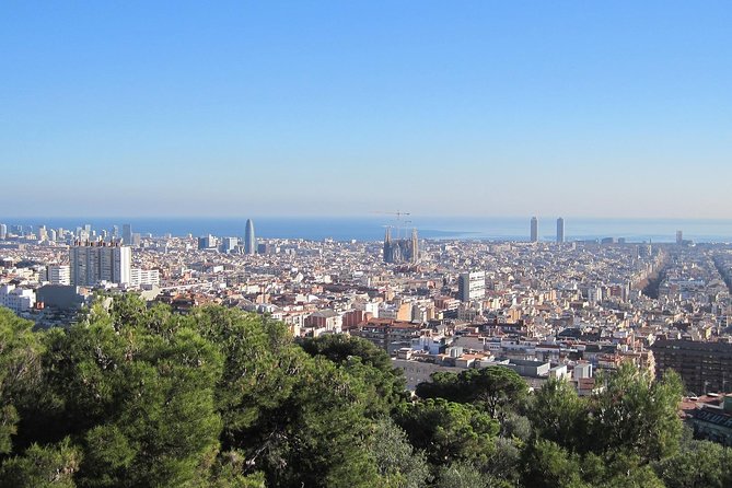 Barcelona: Park Guell Skip the Line Guided Tour - The 100 Columns Room and the Park’s Hidden Logic