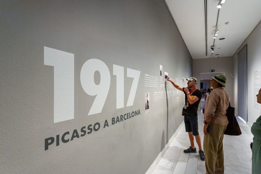 Barcelona: Picasso Museum Skip-the-Line Guided Tour - Why the Picasso Museum works best with a guide