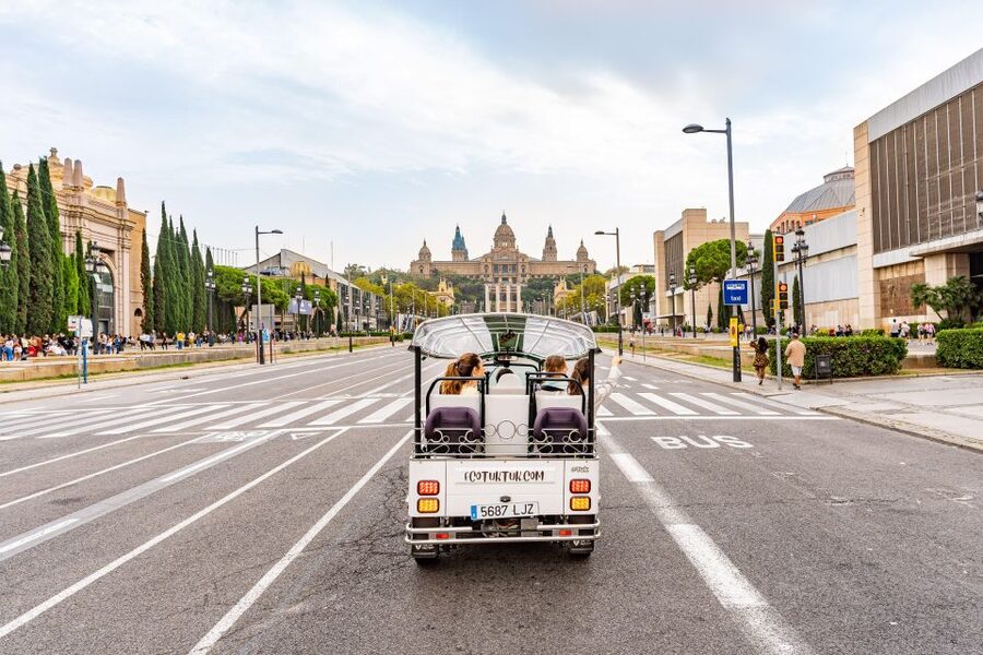 Barcelona: Private City Tour by Eco Tuk Tuk - Plaça de Catalunya, La Rambla, and the Gothic Quarter