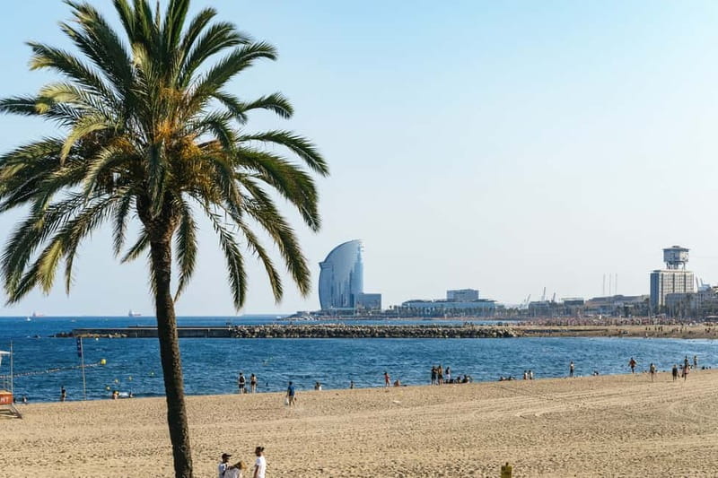 Barcelona: Sagrada Familia or Coastal City Sights by eBike - Why the guides matter so much