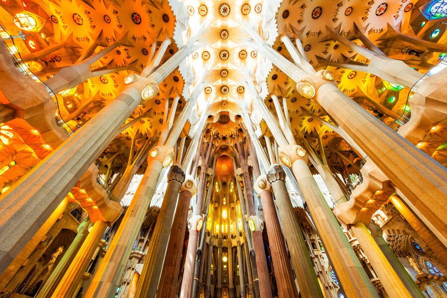 Barcelona: Sagrada Familia Priority Access Guided Tour - Who will enjoy this Sagrada Família tour?