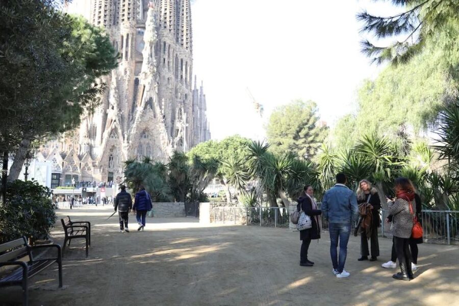 Barcelona: Sagrada Familia Skip The Line Insider Guided Tour - Inside the basilica: columns, light, and height