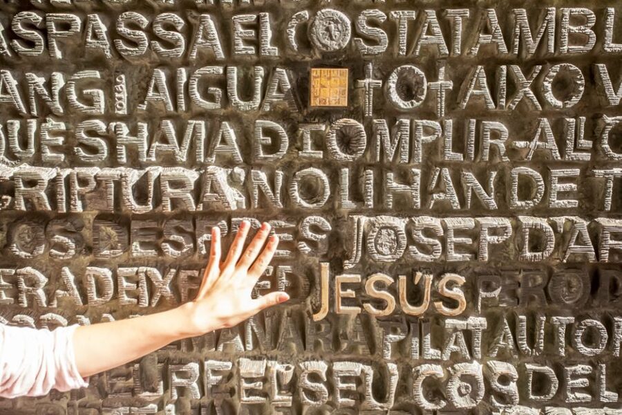 Barcelona: Sagrada Familia Tour with Optional Tower Access - What $99 means in practical terms