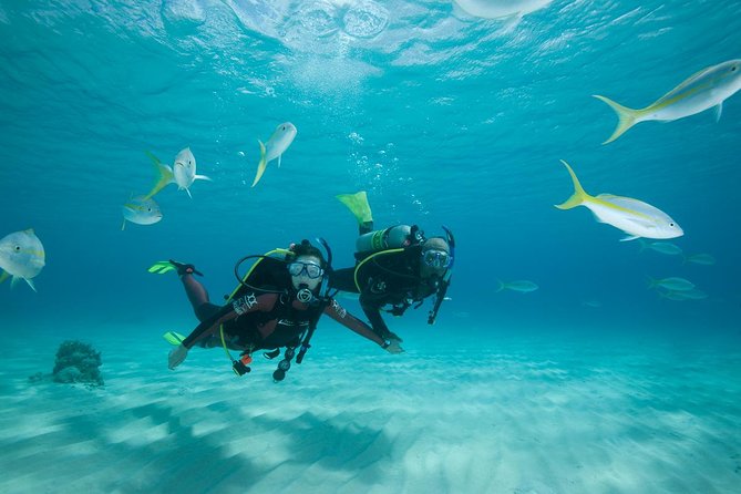 Beginners Scuba Diving Experience in Gran Canaria - What this Gran Canaria experience really offers