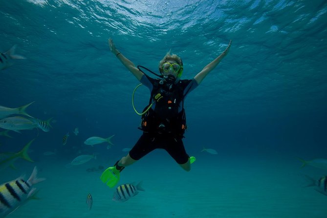 Beginners Scuba Diving Experience in Gran Canaria - Is two hours enough?