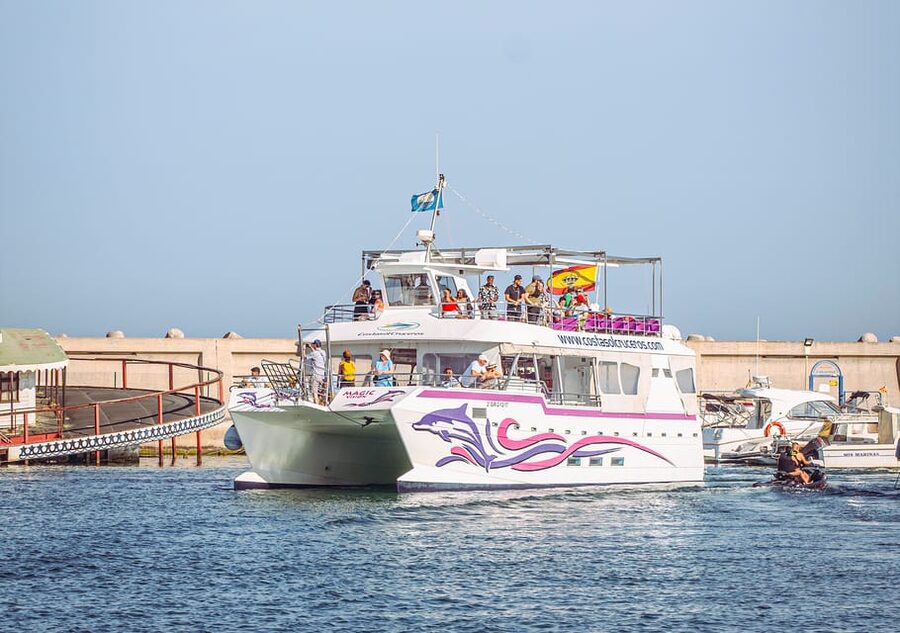 Benalmadena: Dolphin Watching Boat Tour - Key points before you book