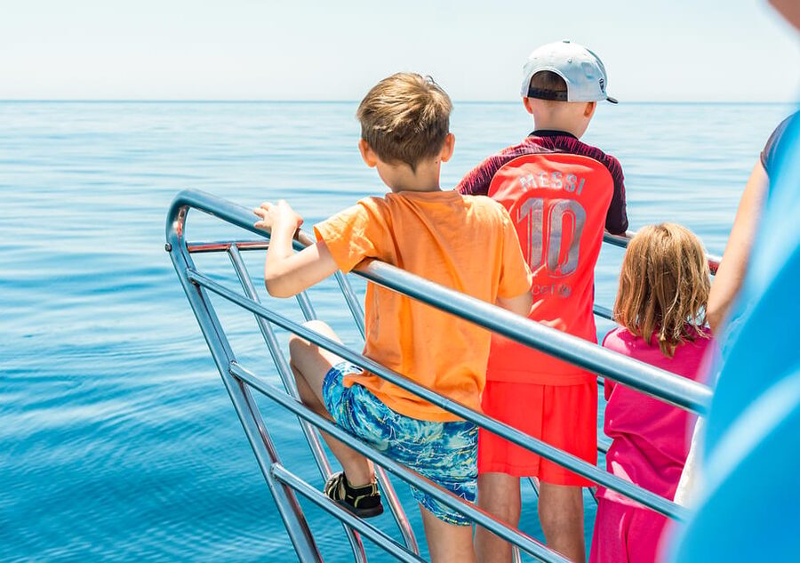 Benalmadena: Dolphin Watching Boat Tour - Sea conditions and what to pack