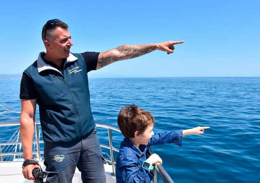 Benalmadena: Dolphin Watching Boat Tour - A straightforward start at Benalmádena Marina