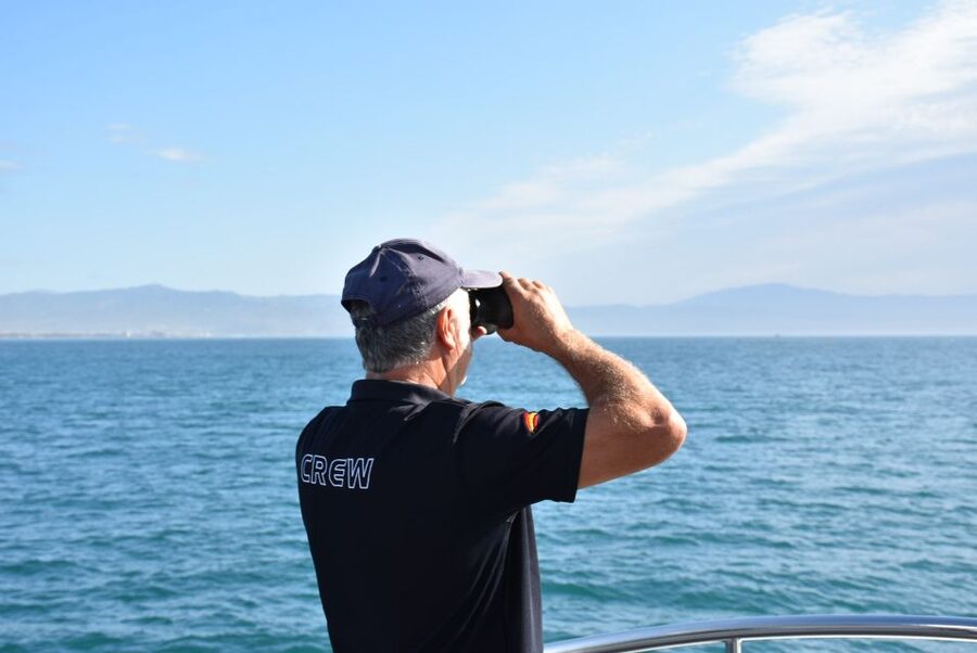 Benalmadena: Dolphin Watching Boat Tour - The dolphin search: patience pays off