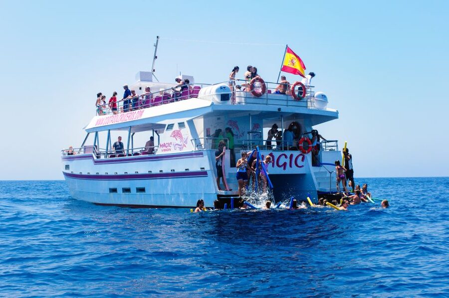 Benalmadena: Dolphin Watching Boat Tour - How the $22 price compares with the experience
