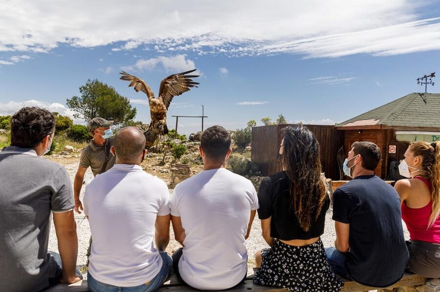 Benalmádena: Mount Calamorro Cable Car Ticket - The optional birds of prey experience