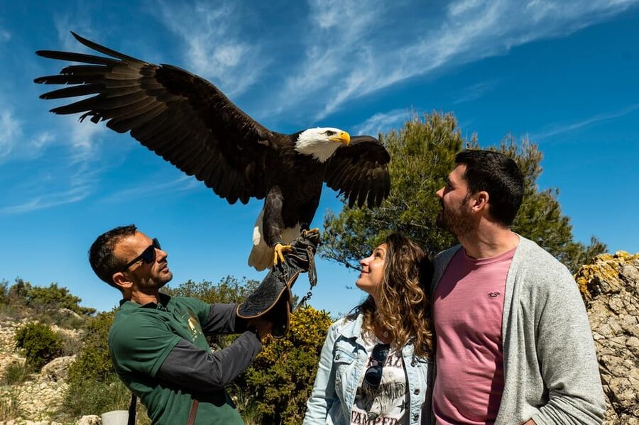 Benalmádena: Mount Calamorro Cable Car Ticket - One-way or round-trip: which ticket makes sense?