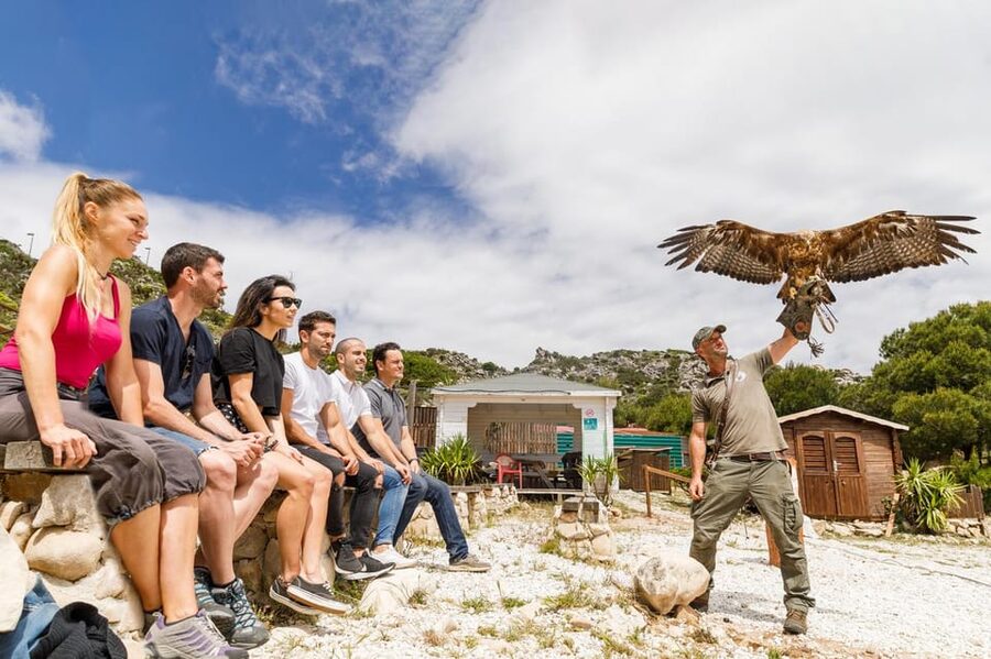 Benalmádena: Mount Calamorro Cable Car Ticket - Is $21 good value?