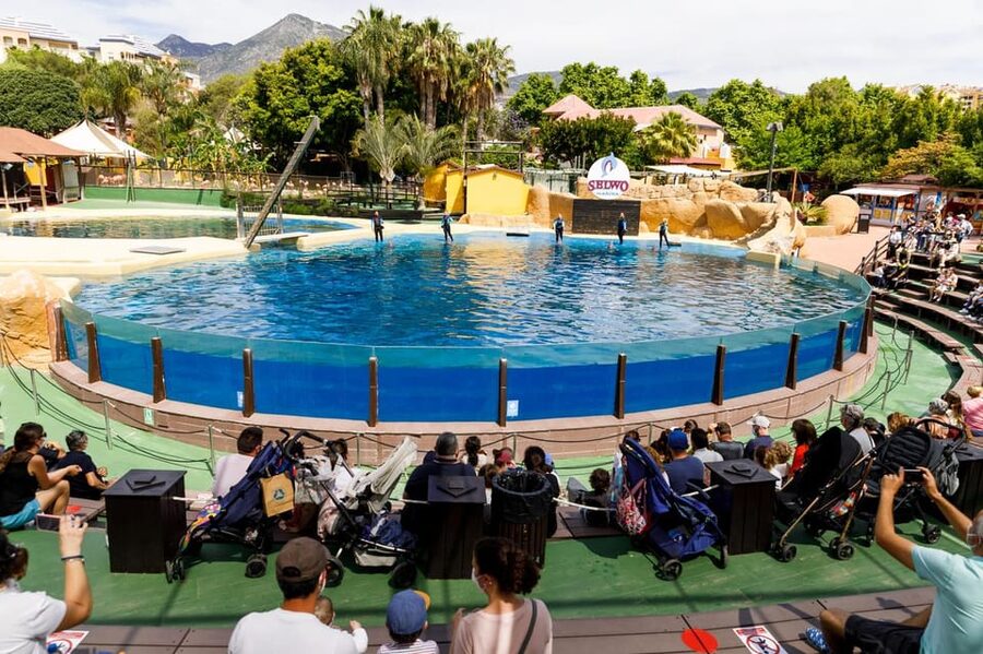 Benalmadena: Selwo Marina Admission Ticket - Tropical birds, parrots, and Amazonian wildlife
