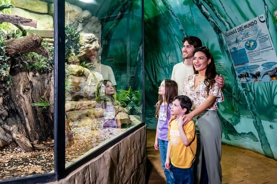 Benalmadena: Selwo Marina Admission Ticket - Educational talks that work best for curious children
