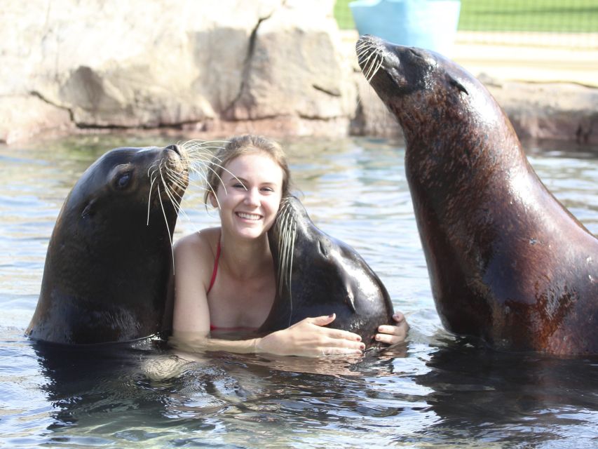 Benidorm: Aqua Natura Amusement Park 1-Day Entry Ticket - Opening times and the best time to arrive