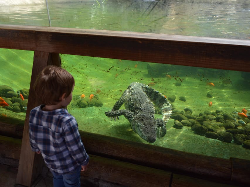 Benidorm: Terra Natura and Aqua Natura Combo Day Ticket - Who will get the most from this ticket?