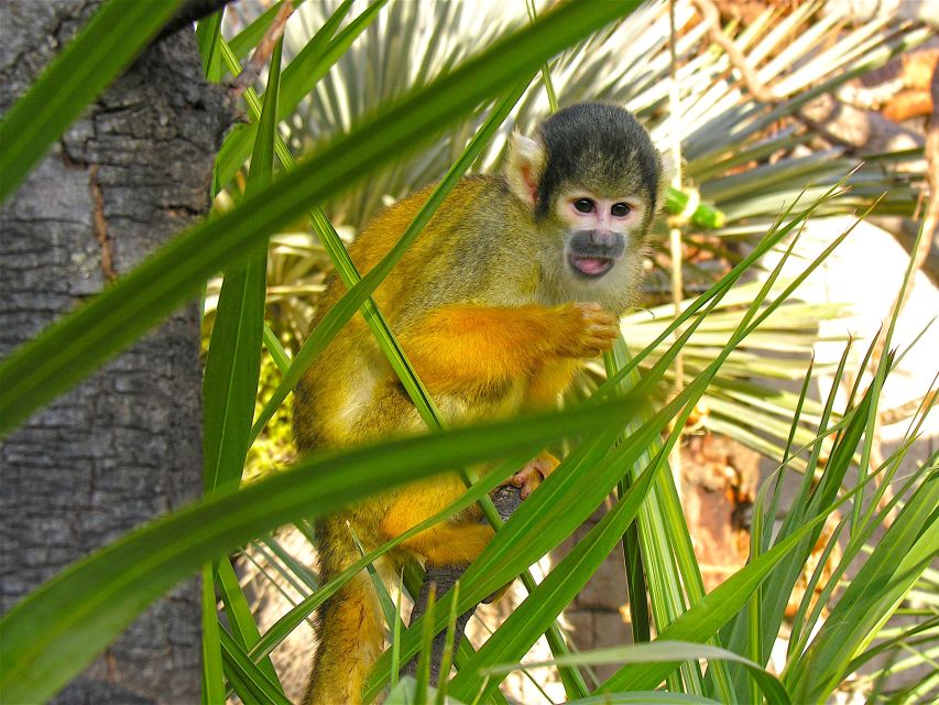 Benidorm: Terra Natura Theme Park 1-Day Tickets - Key things to know before you go